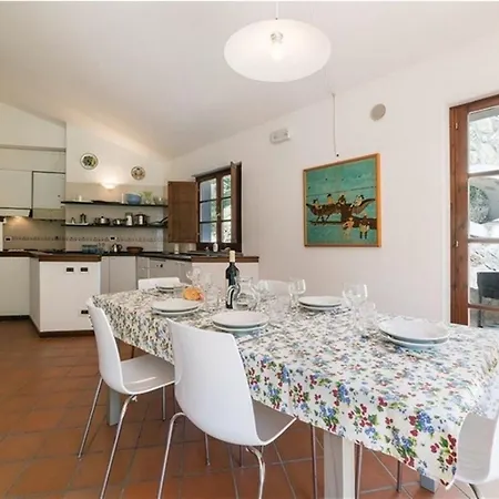 Fontanelle * 베토나